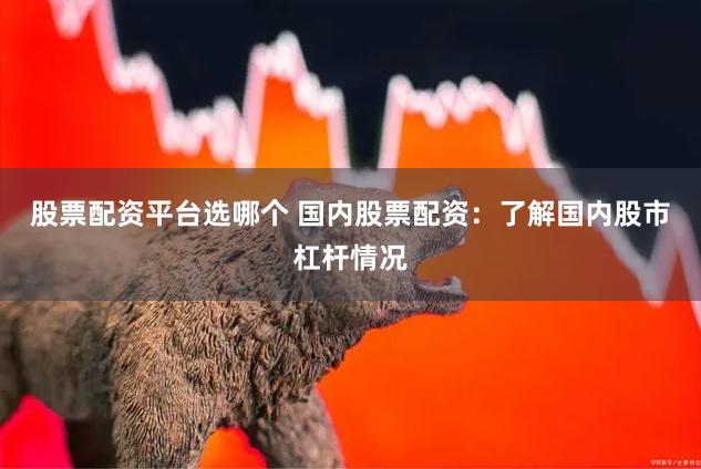 股票配资平台选哪个 国内股票配资：了解国内股市杠杆情况