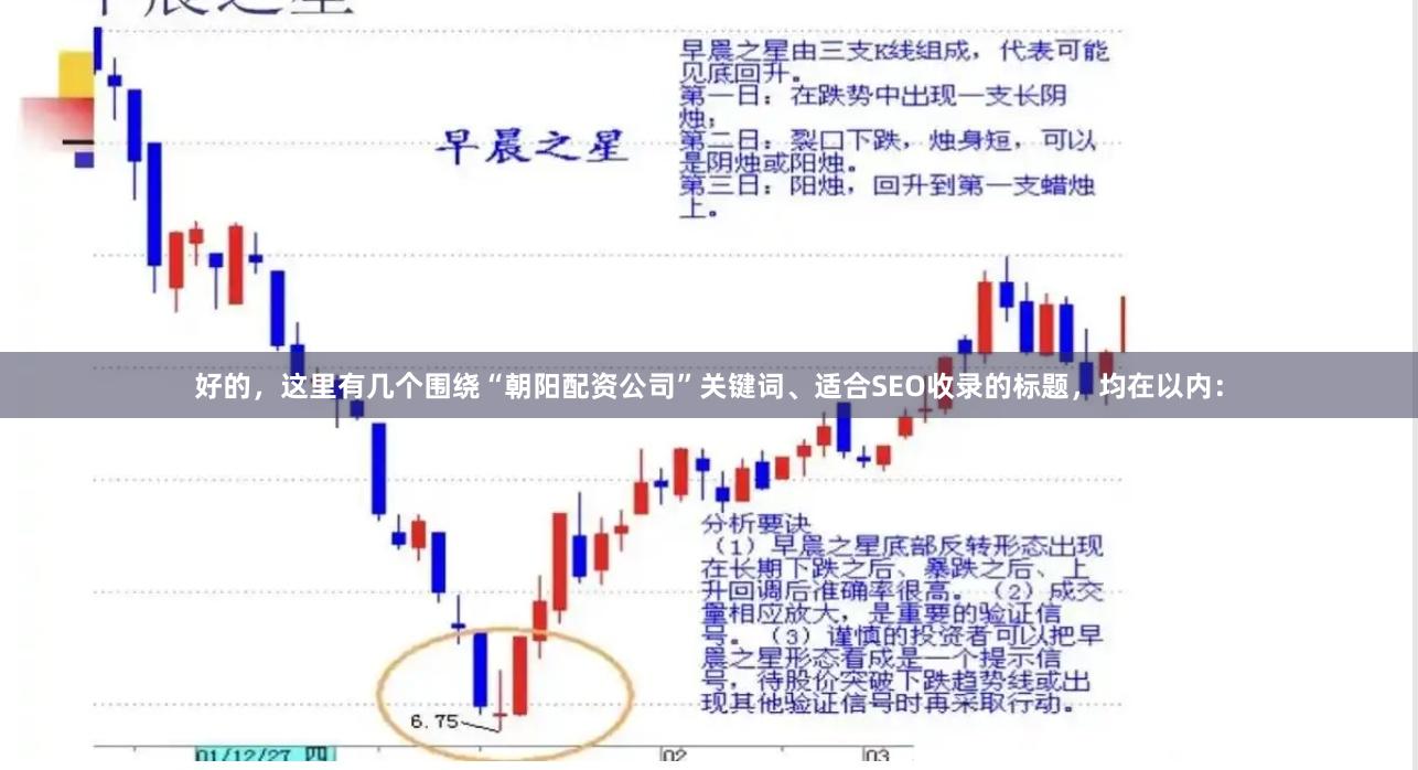好的，这里有几个围绕“朝阳配资公司”关键词、适合SEO收录的标题，均在以内：